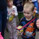 XII. Greiner Szigetköz Minimaraton (Fotó: Horváth Attila)