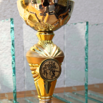 XV. Greiner Szigetköz Félmaraton