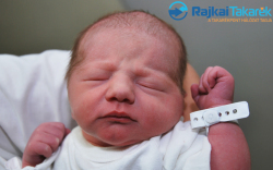 Rigó Zalán, 3180 gr. Mosonmagyaróvár