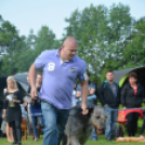 CAC kutyakiállítás (Fotó: Nagy Mária)