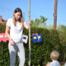 Mosonmagyaróvári Kézilabda SE faültetés (Fotó: Bánhegyi István)