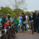 Gyalogos Lajta Híd ünnepélyes átadása (Fotó: Bánhegyi István)