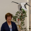 Az állatok világnapja, Leczkésy László origami kiállításának megnyitója (fotó: Horváth Attila)