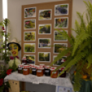 Termény- és virágkiállítás 