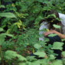 Szemétszedés a Kiserdőben (Fotó: Nagy Mária)