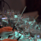 A Magyar Kultúra Napja 2018 a Cselley-házban