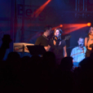 Szigetköz Ízei, Vármegye borai Fesztivál (péntek) (Fotó: Horváth Attila)