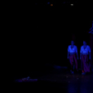 Japán Kert (Fotó: Horváth Attila)