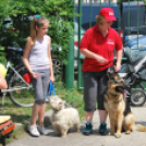 Családi nap a Gyerekek Átmeneti Otthonában