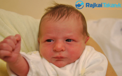 Csiba Soma, 33330 gr. Halászi