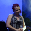 Tiszta Amerika - Vár-tó party