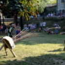  Szigetköz ízei, Vármegye borai Fesztivál 2. nap (Fotó: Stipkovits Veronika, Bánhegyi István)