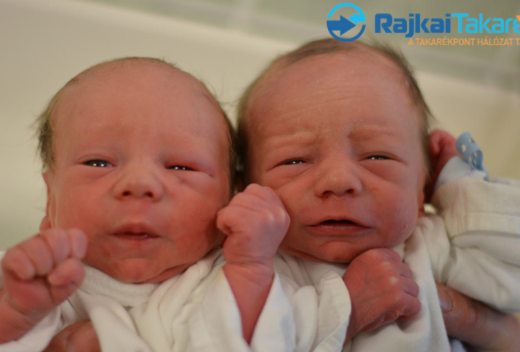 Horváth Bálint és Kristóf, 2350 gr és 22