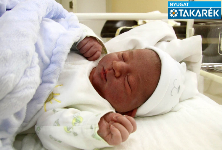 Poroszkai Noel, Mosonmagyaróvár