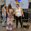 XII. Szigetköz ízei, Vármegye borai Fesztivál 3. nap