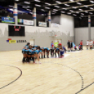 MKC SE – Alba Fehérvár KC 29-31 (17-13)