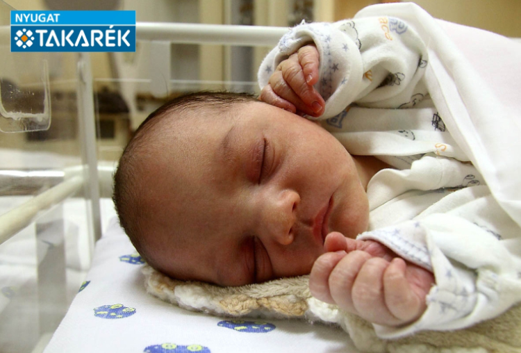 Balogh Dilen Róbert, Mosonmagyaróvár