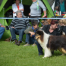 CAC kutyakiállítás (Fotó: Nagy Mária)