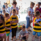 Apró kezek, Csodakertek - IX. Gyermek Kertépítő Verseny