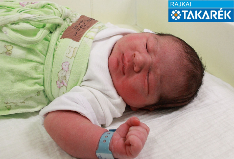 Szép Ádám János, Beled