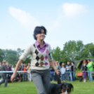 CAC kutyakiállítás (Fotó: Nagy Mária)