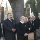 1956-os városi Megemlékezések és Gyásznap /Mosonmagyaróvár/