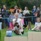 CAC kutyakiállítás (Fotó: Nagy Mária)