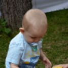 Mosonmagyaróvári Jótékonysági Családi Nap