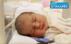 Németh Noémi, Bősárkány