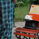 Családi nap a Gyerekek Átmeneti Otthonában