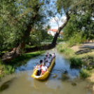 Entente Florale Day Mosonmagyaróvár - Virágzó Város Mosonmagyaróvár (Fotó: Bánhegyi István)
