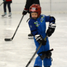 Mosonmagyaróvári Jégpálya Megnyitó