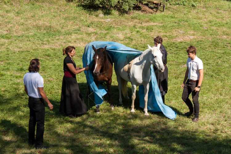 XII. Szigetköz ízei, Vármegye borai Fesztivál 2. nap