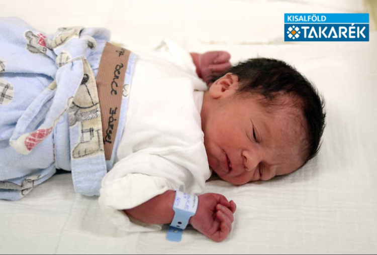 Varga Bence József, Mosonmagyaróvár