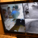 Pánik labor (Fotó: Nagy Mária)