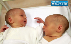 Gecsei Patrícia, Gecsei Viktória, Lébény