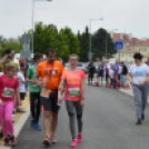 XIV. Greiner Szigetköz Félmaraton