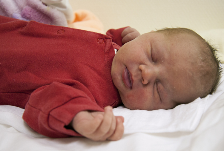 Samu Laura, Jánossomorja