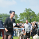 CAC kutyakiállítás (Fotó: Nagy Mária)