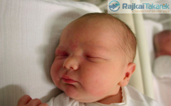 Csepi Dominik, Mosonmagyaróvár