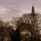 Erzsébet napi vigalom