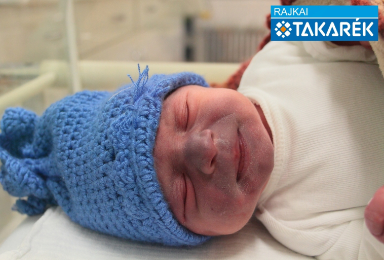 Tóth Anna, Mosonmagyaróvár