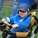 VII. Szigetköz ízei, Vármegye borai fesztivál péntek 2. (Fotó: Nagy Mária)