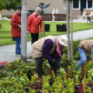 Virágosítás a városközpontban