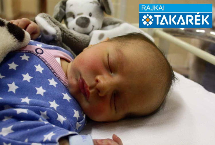 Csanádi-Vári Máté, Dunasziget