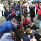 Kőrisfacsemetéket ültettek a diákok a Nolato Magyarország Kft telephelyén