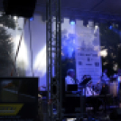 Tiszta Amerika - Vár-tó party