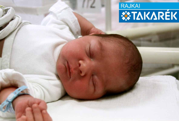 Horváth Konor György, Hédervár