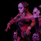 Japán Kert (Fotó: Horváth Attila)