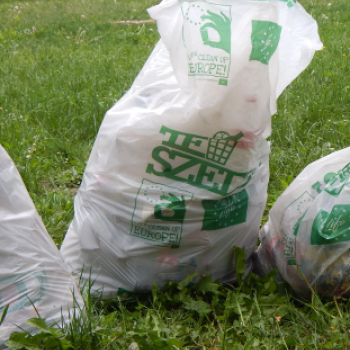 TeSzedd - Újhelyisek a Wittman parkban